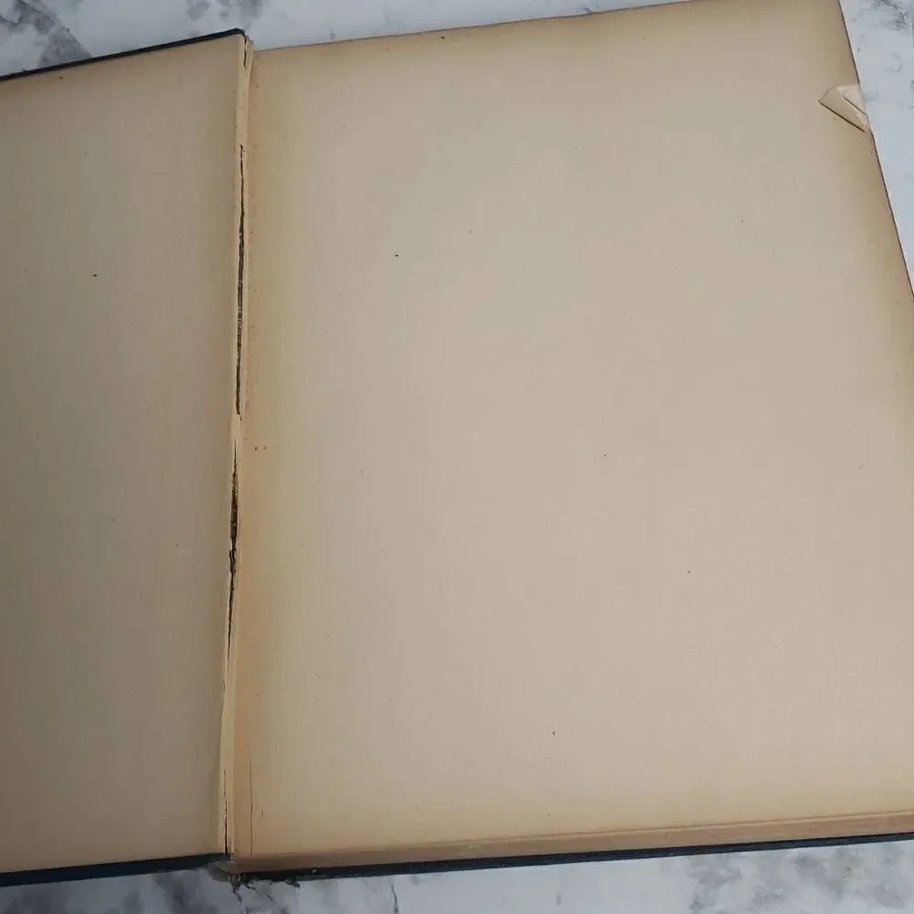 Vintage Abraham Lincoln The Year of His Election by Albert Shaw A Cartoon Histor